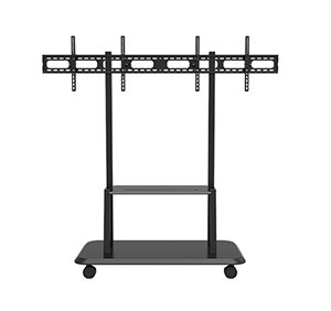 Dual Display Screen Video Wall Cart